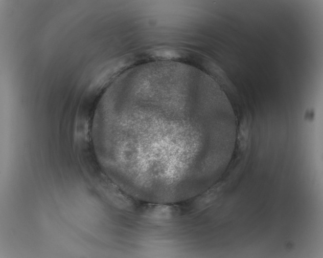 X0000113020330200909171501