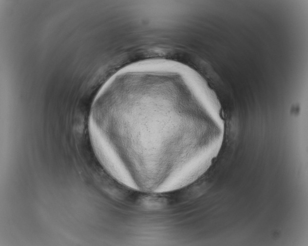 X0000113020331200909171501