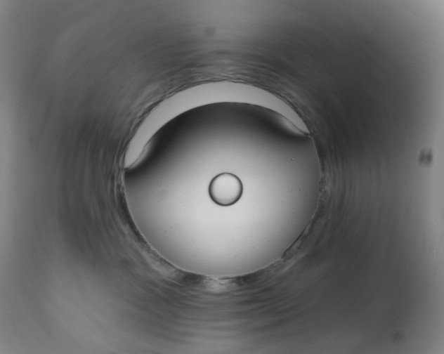 X0000113020333200909171501