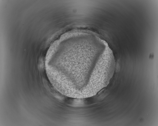 X0000113020335200909171501