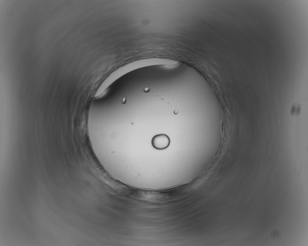 X0000113020336200909171501