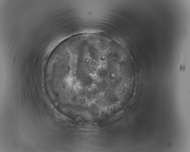 X0000113020337200909171500