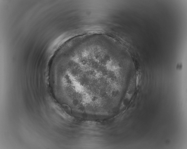 X0000113020339200909171500