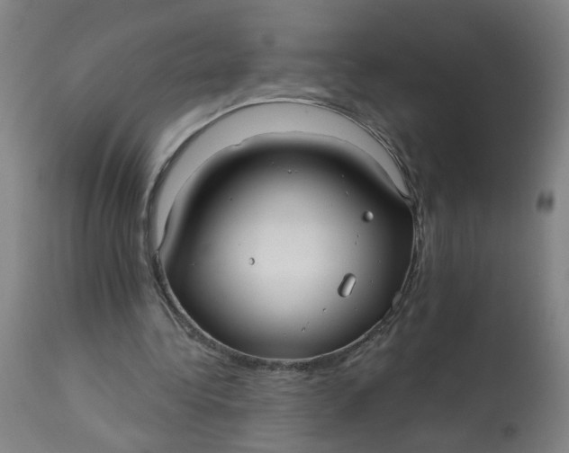 X0000113020340200909171500