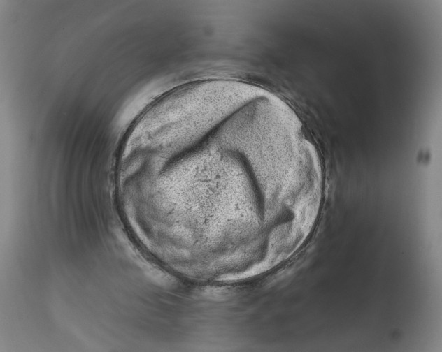 X0000113020341200909171500