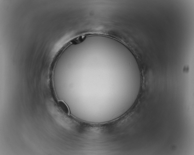 X0000113020344200909171500