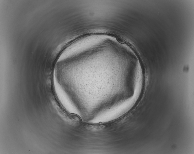 X0000113020345200909171500