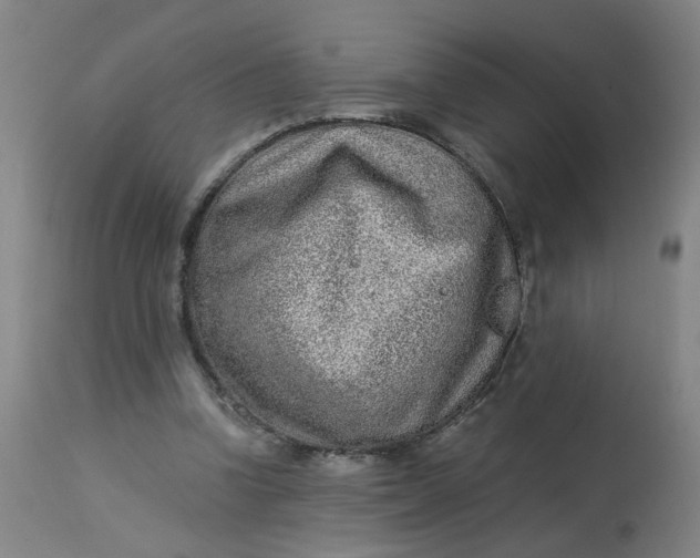 X0000113020346200909171500