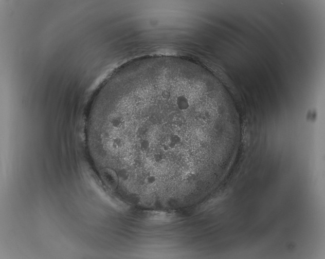 X0000113020347200909171500