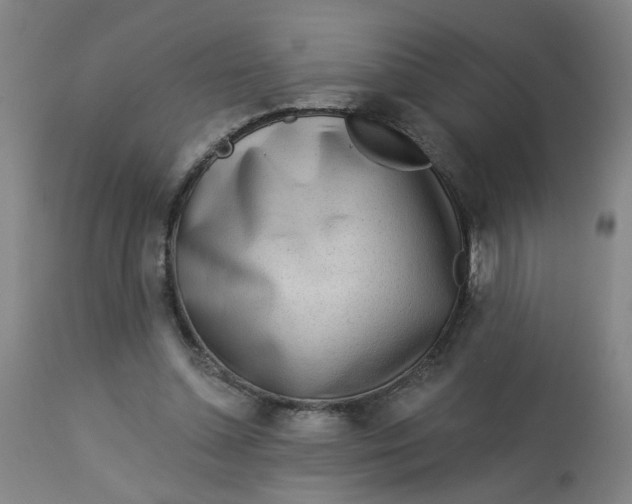 X0000113020348200909171500