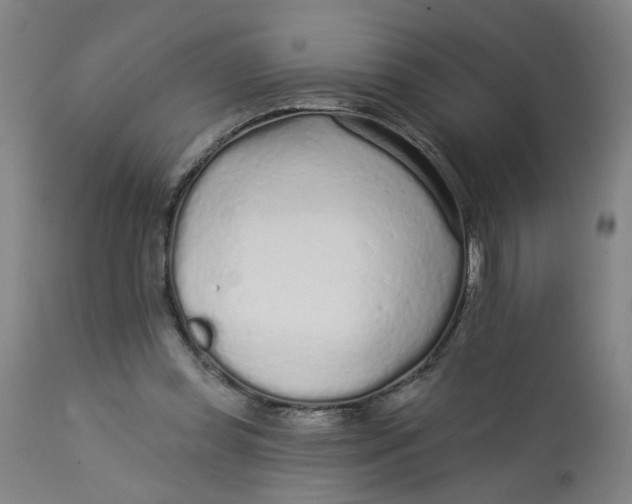 X0000113020349200909171500