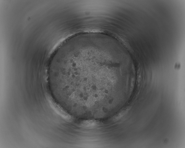 X0000113020351200909171500