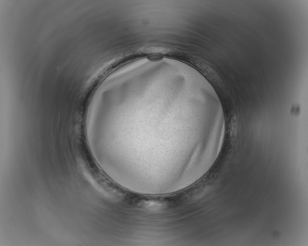 X0000113020352200909171500