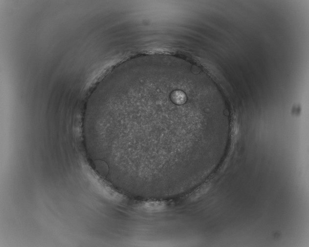 X0000113020353200909171500