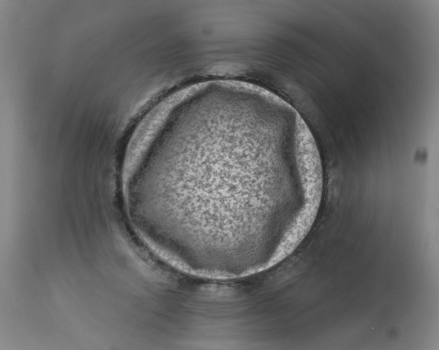 X0000113020354200909171500