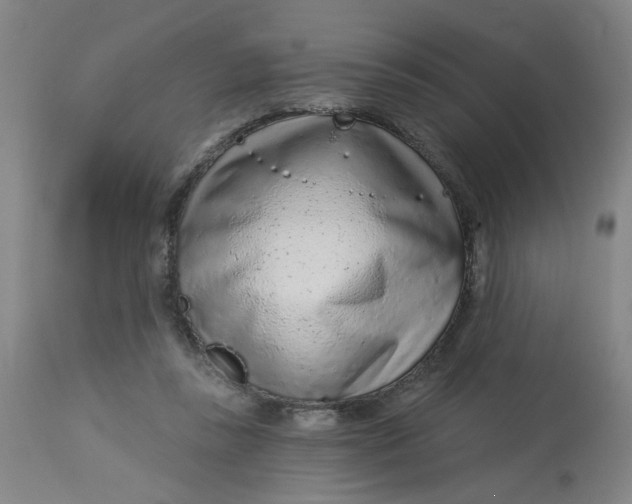 X0000113020355200909171500