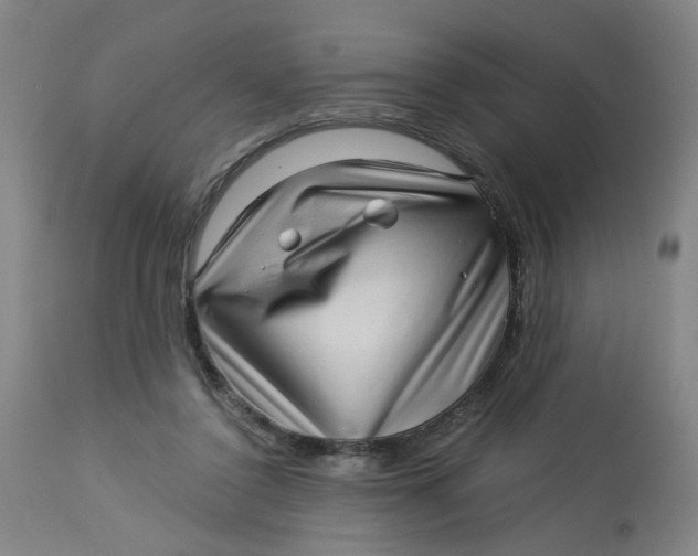 X0000113020356200909171500