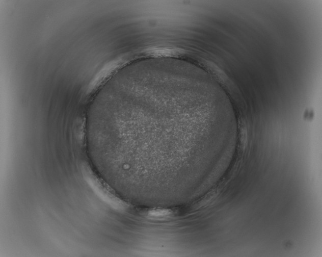 X0000113020357200909171500