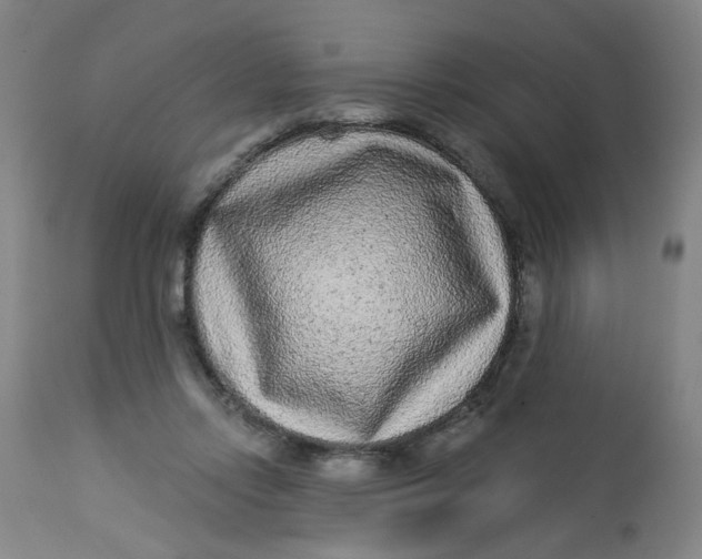 X0000113020358200909171500