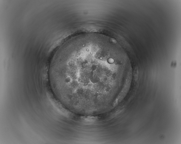 X0000113020359200909171500