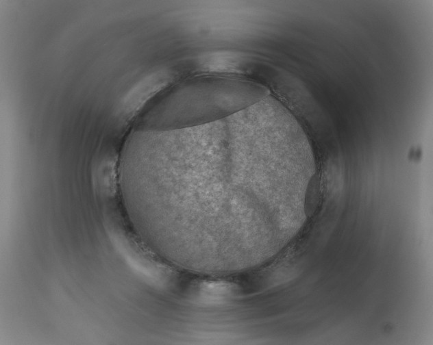 X0000113020360200909171500