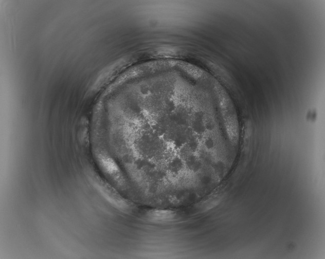 X0000113020361200909171500