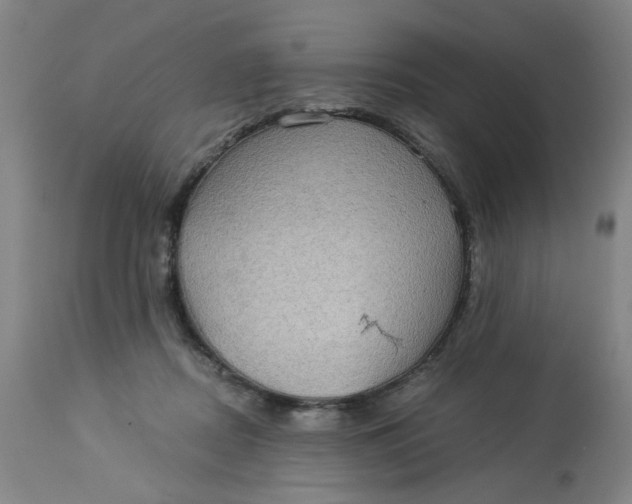 X0000113020362200909171500