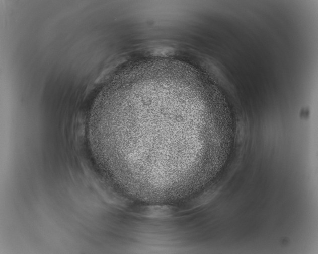 X0000113020363200909171500