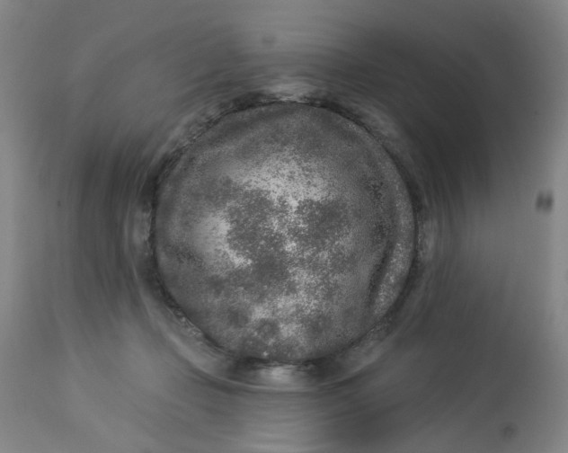 X0000113020365200909171500