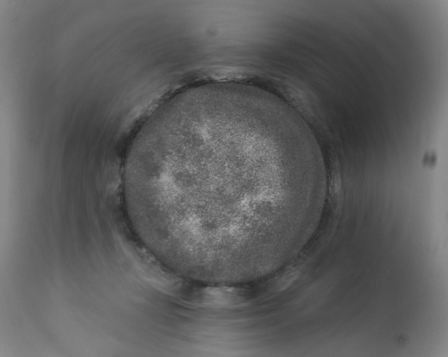 X0000113020367200909171500