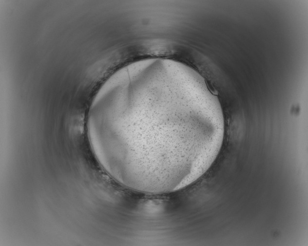 X0000113020368200909171500