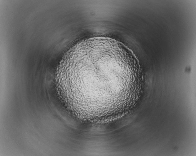 X0000113020369200909171500