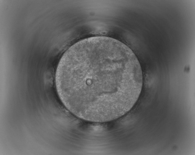 X0000113020370200909171500