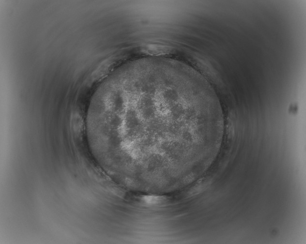 X0000113020371200909171500