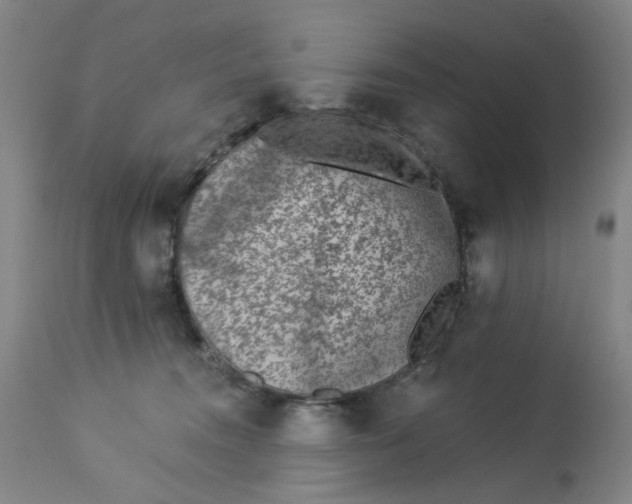 X0000113020372200909171500