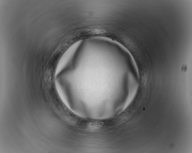 X0000113020373200909171500