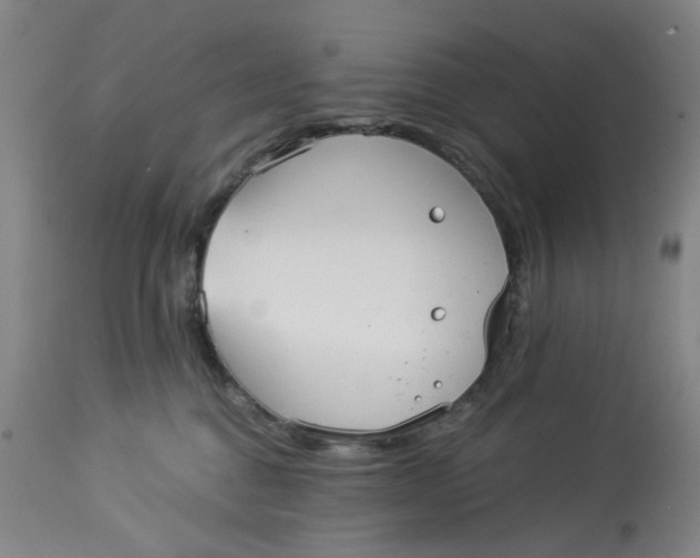 X0000113020376200909171500