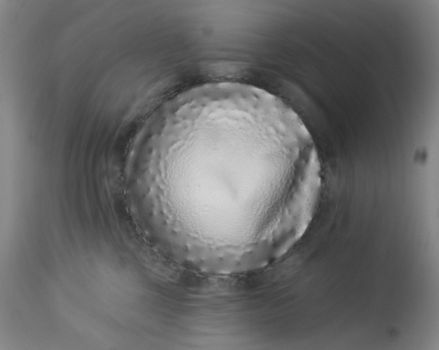 X0000113020377200909171500