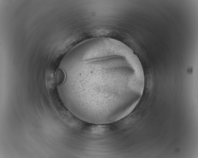 X0000113020378200909171500