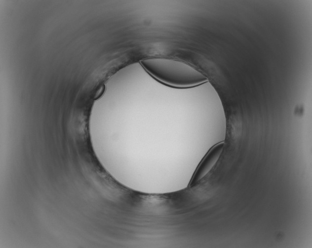 X0000113020380200909171500