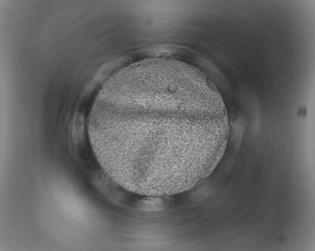 X0000113020381200909171501