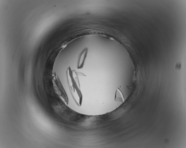 X0000113020382200909171501