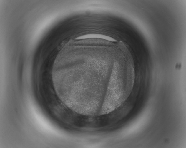 X0000113020383200909171501