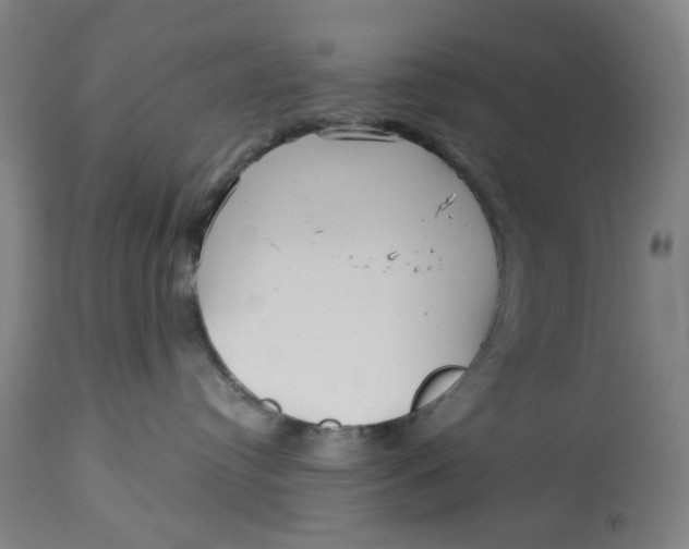 X0000113020384200909171501