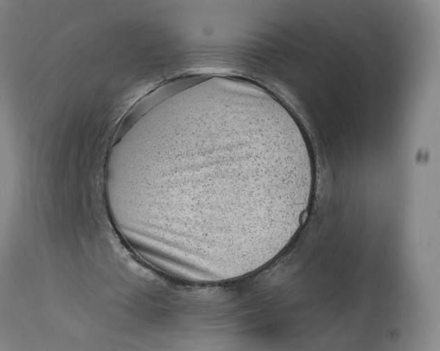 X0000113020385200909171500