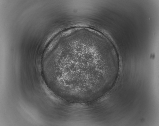 X0000113020386200909171500