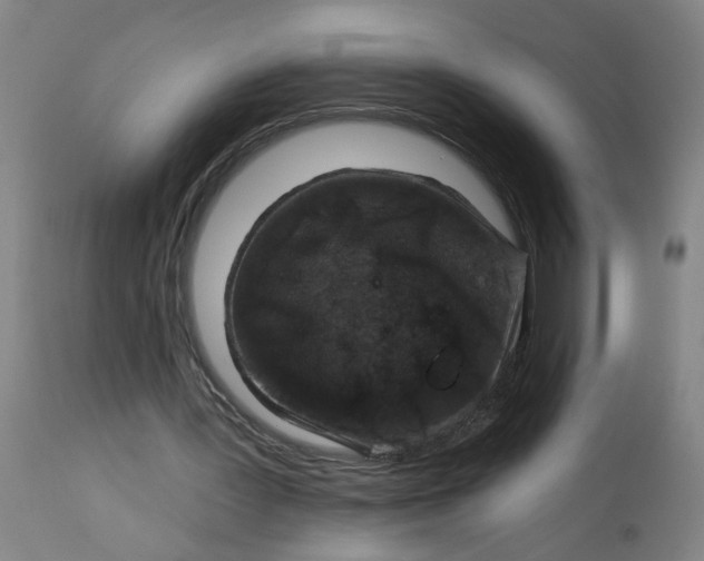 X0000113020387200909171500