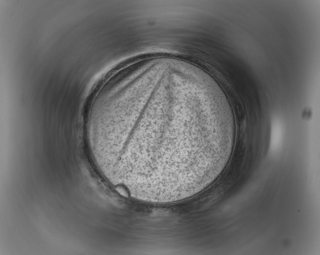 X0000113020388200909171500