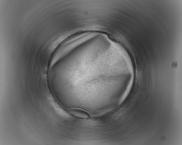 X0000113020389200909171459