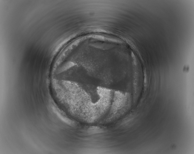 X0000113020390200909171459